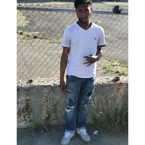 Meet your Posher, Milo